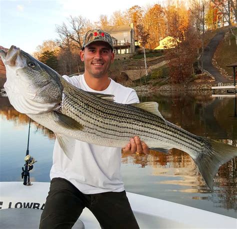 striper forum|smith mountain lake fishing forum.